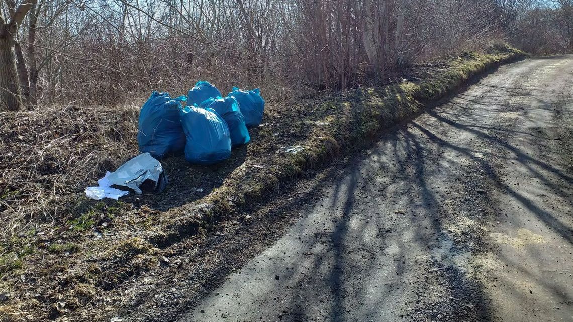 Lublin. Strażnik miejski pogrzebał w śmieciach i... skończyło się sporym mandatem Lublin. Strażnik miejski pogrzebał w śmieciach i... skończyło się sporym mandatem