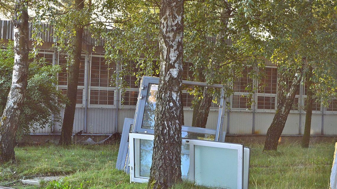 Lublin: Te same drzewa, kolejny alarm. Mieszkańcy obawiają się ich uszkodzenia