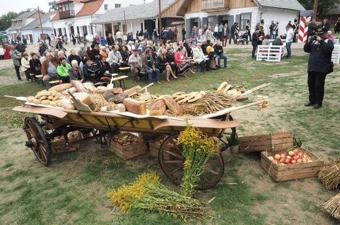 Lublin: Tłumy na Święcie Chleba. Piekarze świętowali w skansenie (zdjęcia, wideo)