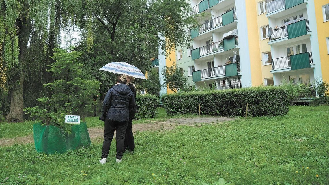 Lublin. Trawnik albo plac zabaw. Będzie referendum? Lublin. Trawnik albo plac zabaw. Będzie referendum?