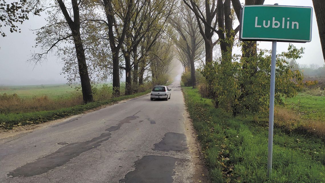 Lublin: Tutaj nie będzie wielkiej wycinki drzew. Radny nic nie wskórał