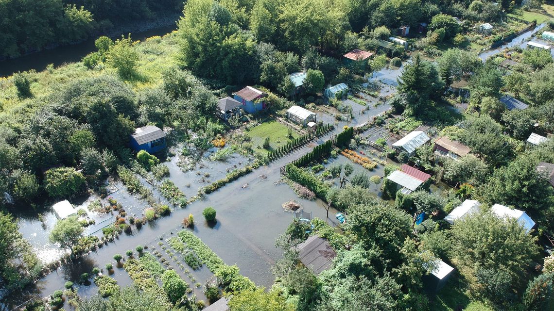 Lublin: Uprawy i altanki działkowców pod wodą. 10 hektarów rozpaczy [zdjęcia]