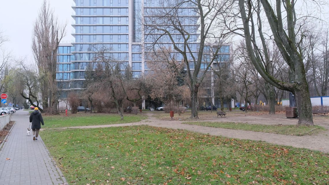 Lublin. W centrum wytną część drzew, ułożą tu kostkę