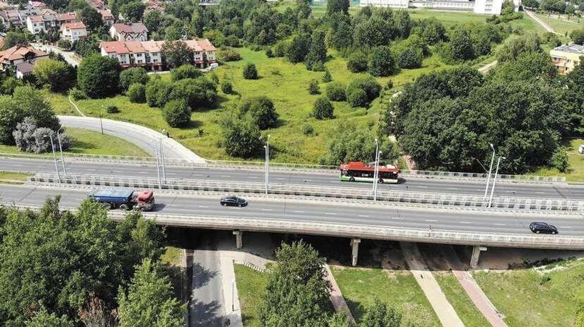 Lublin: W parku Jana Pawła II ma być ładniej. Powstaną żywe altany z wierzby Lublin: W parku Jana Pawła II ma być ładniej. Powstaną żywe altany z wierzby