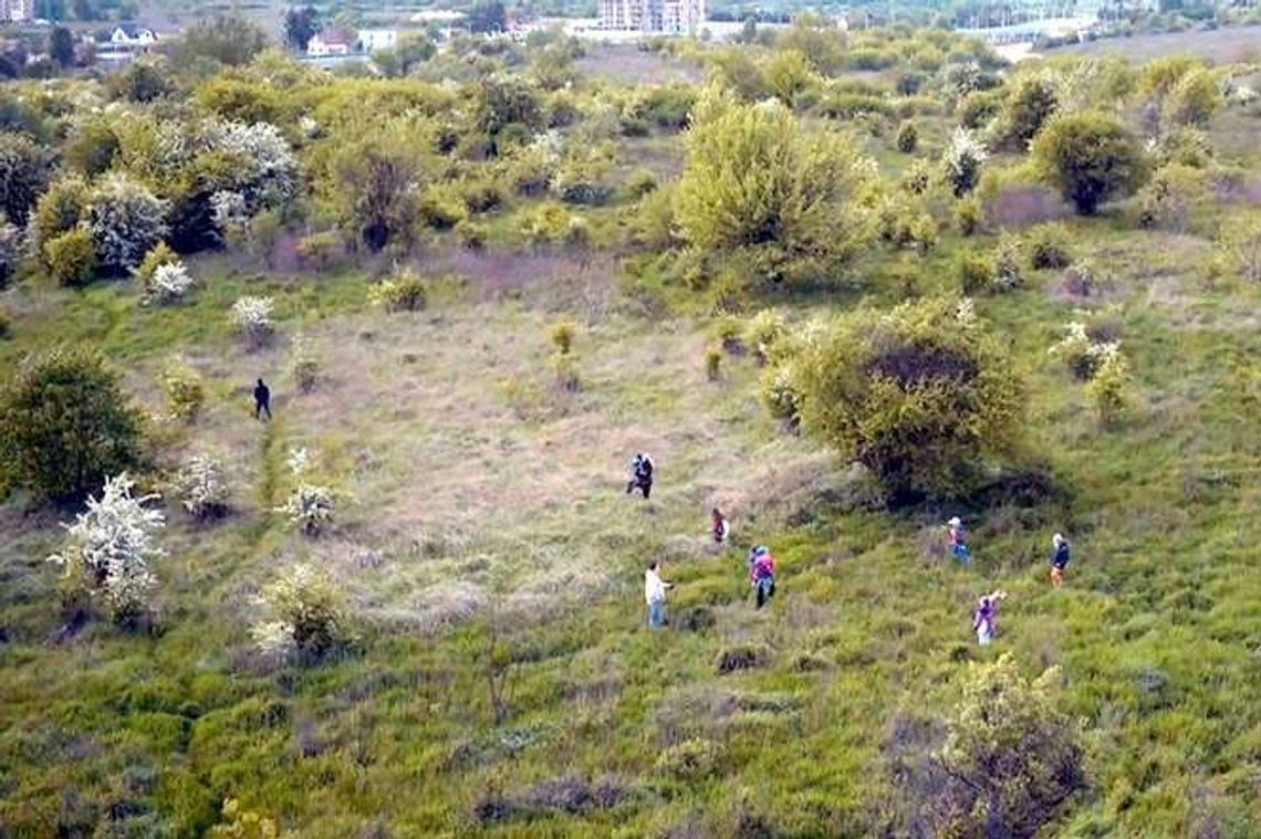 Lublin: W piątek debata o górkach czechowskich