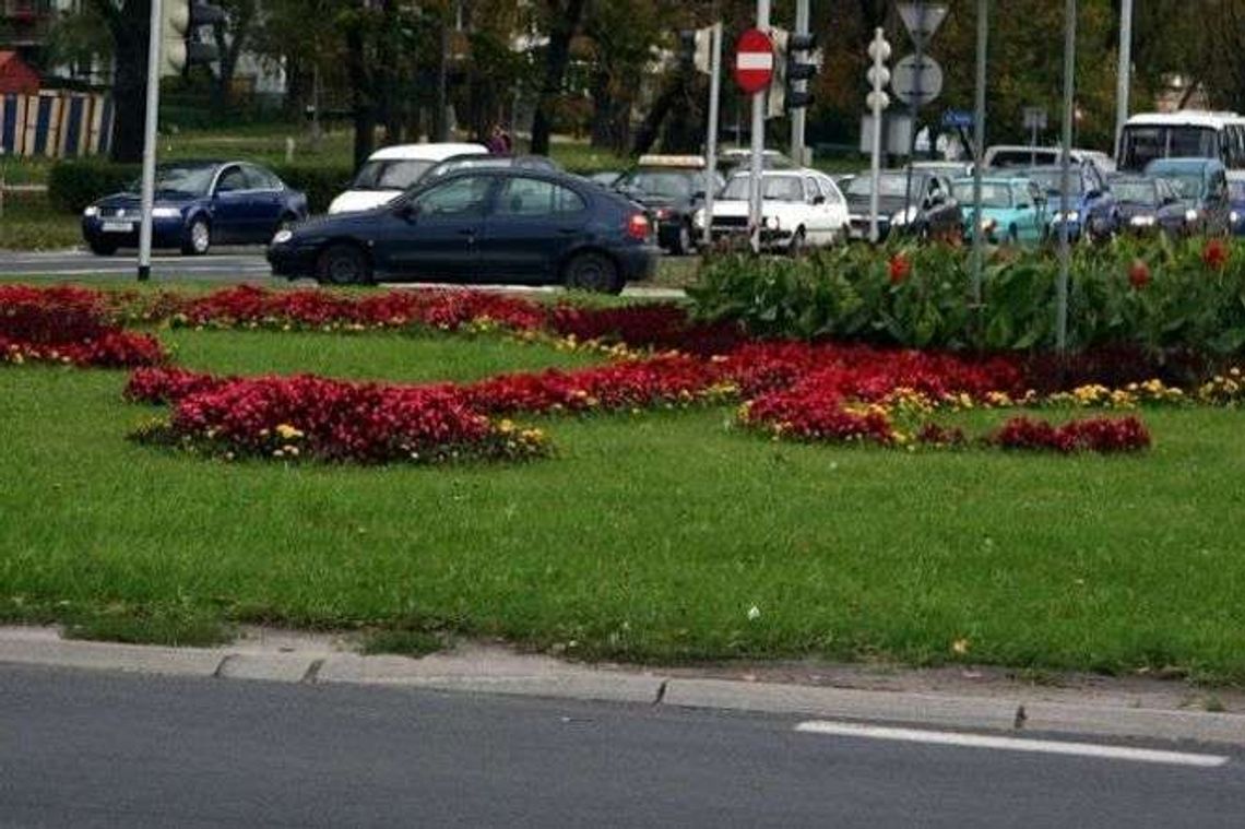 Lublin: W tych miejscach pojawi się nowa zieleń