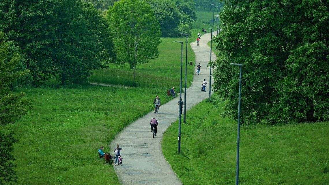 Lublin. Wąwóz do poprawki. Zniknie stara alejka spacerowa