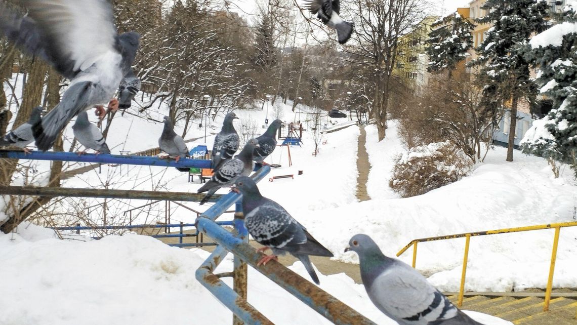 Lublin. Wąwóz ma pozostać wolny od zabudowy. Taki plan ma miasto