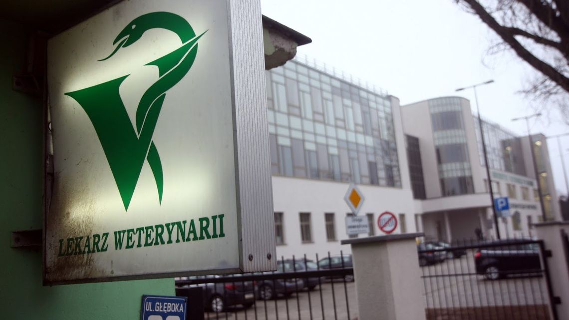 Lublin: Weterynarz przy ul. Głębokiej będzie czynny całą dobę