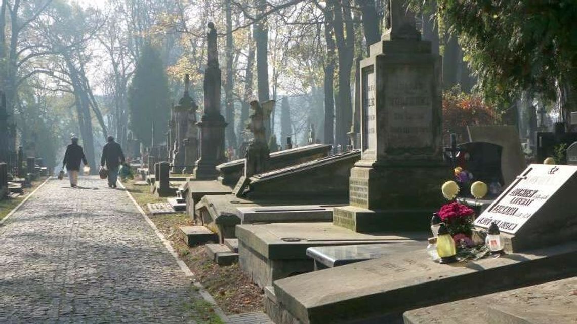 Lublin: Więcej miejsc parkingowych, specjalne linie na cmentarze