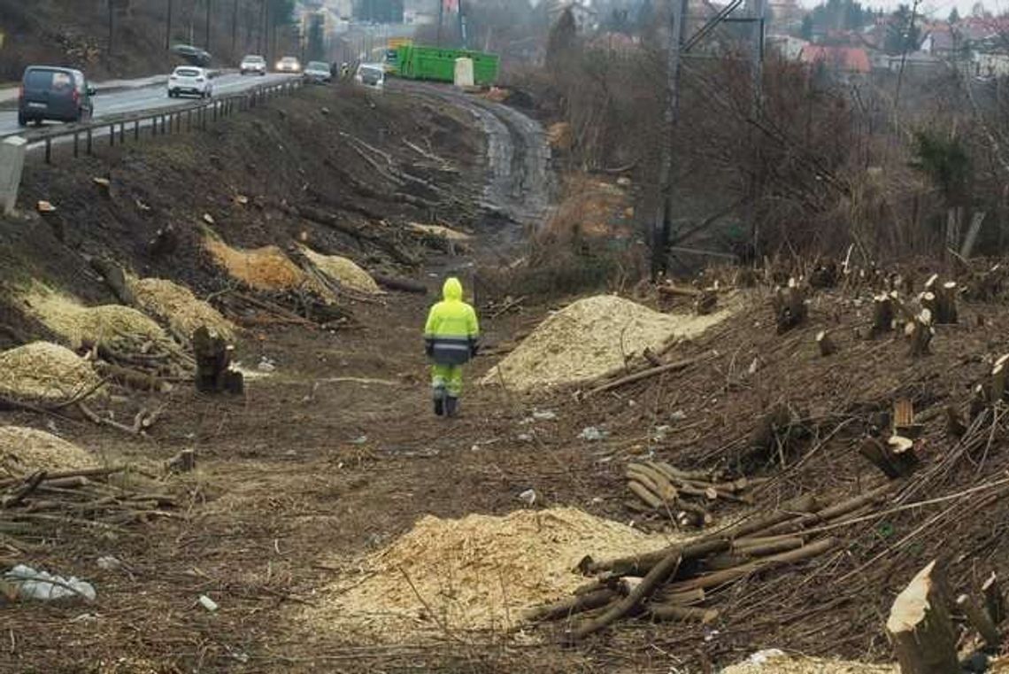 Lublin: Wielka wycinka wciąż trwa (zdjęcia) Lublin: Wielka wycinka wciąż trwa (zdjęcia)