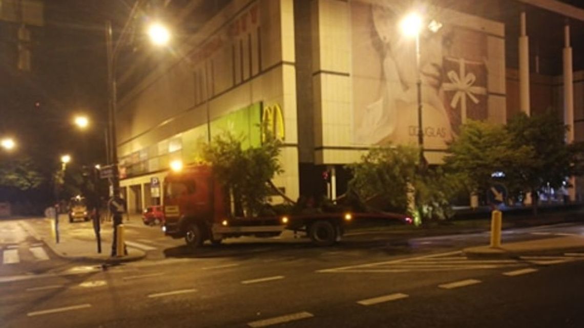 Lublin: Wściekłość mieszkańców po nocnym przesadzaniu drzew. „Sami siebie wytnijcie”