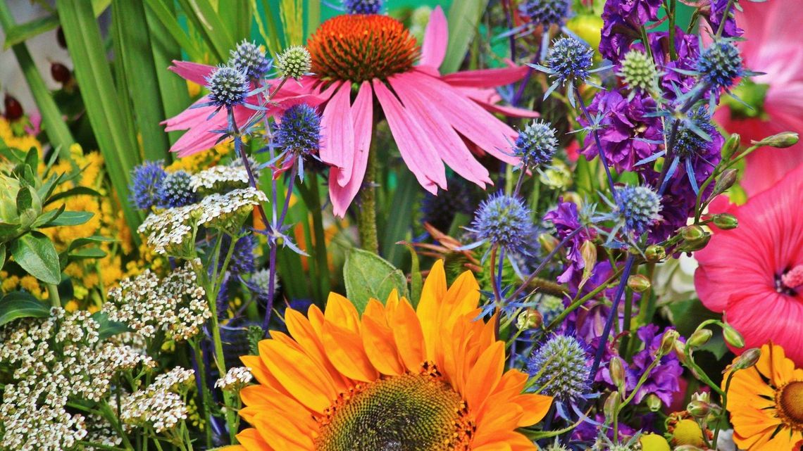 Lublin: Wskaż miejsce i wygraj kwiaty dla swojej dzielnicy