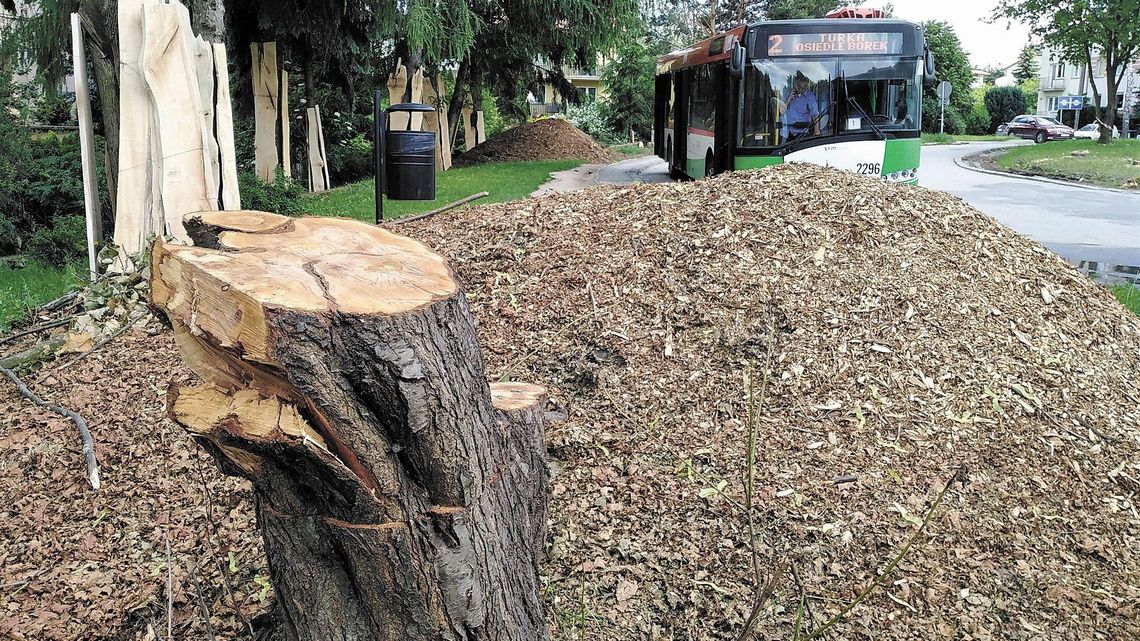 Lublin: Wycinają drzewa pod pętle autobusowe. Zamiast liści zaszumią silniki Lublin: Wycinają drzewa pod pętle autobusowe. Zamiast liści zaszumią silniki