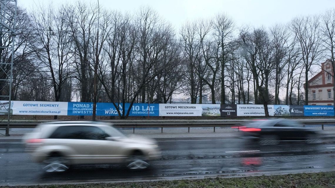 Lublin: Wytną drzewa, zbudują nowe bloki. SKO oddaliło skargę przeciwników wycinki