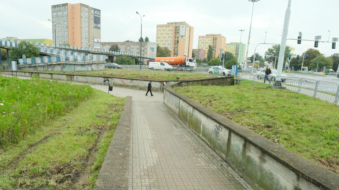 Lublin: Z ul. Łęczyńskiej zniknęły drzewa posadzone przez mieszkańca Lublin: Z ul. Łęczyńskiej zniknęły drzewa posadzone przez mieszkańca
