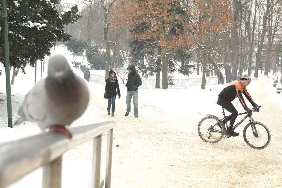 Lublin: Zamkną Ogród Saski na noc czy nie? Lublin: Zamkną Ogród Saski na noc czy nie?