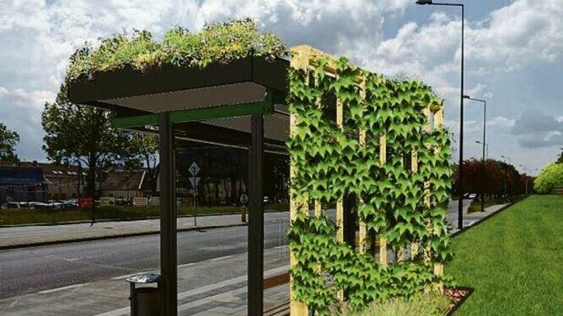 Lublin zapłaci 72 tysiące złotych za zielony przystanek Lublin zapłaci 72 tysiące złotych za zielony przystanek