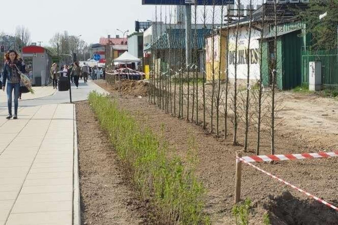 Lublin: Zieleń zasłoni kioski przy al. Tysiąclecia
