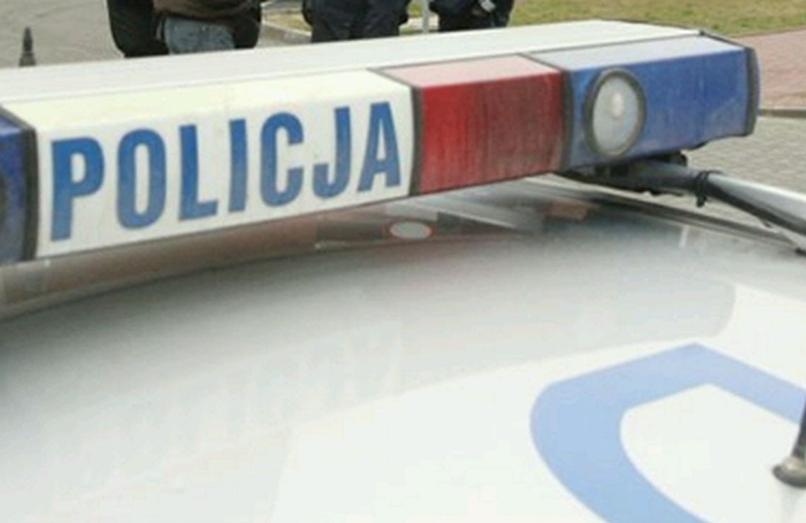 Lublin: Złodziejski magazyn w piwnicy