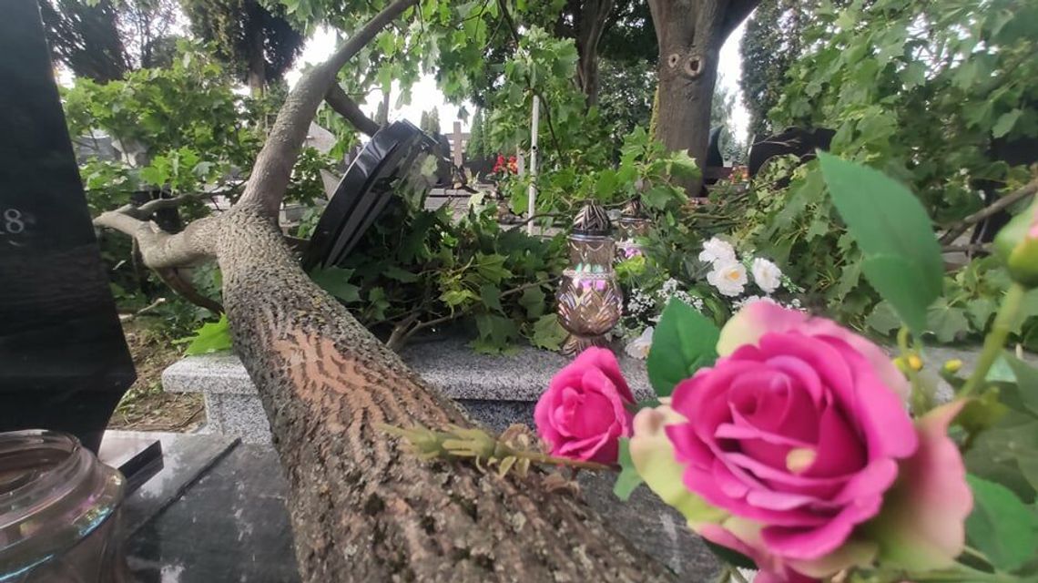 Lublin: Zniszczone nagrobki, przewrócone drzewa. Cmentarz przy Unickiej po burzy [zdjęcia]