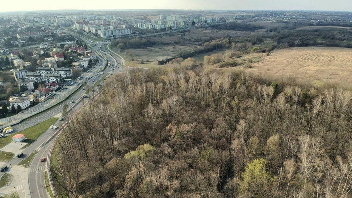 Lublin: Znowu zapłacimy za skargę w sprawie górek czechowskich Lublin: Znowu zapłacimy za skargę w sprawie górek czechowskich
