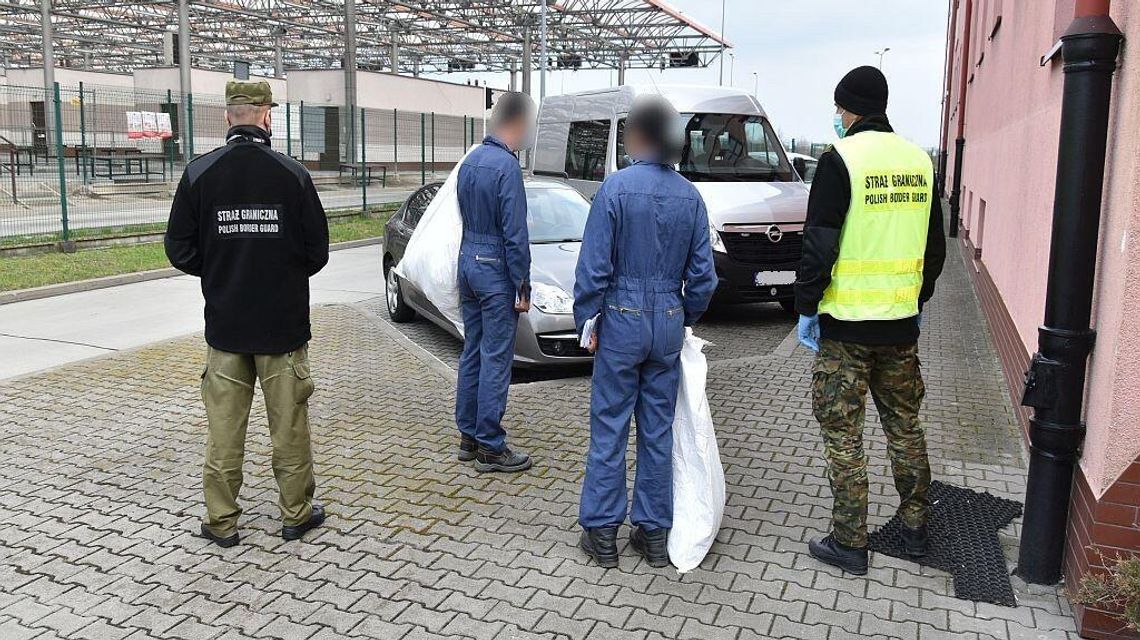 Lubycza Królewska. Dwóch Turków zdradziły ślady butów