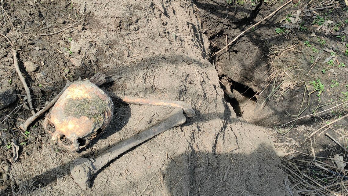 Ludzkie kości porozrzucane po cmentarzu. Co się stało w Zadębcach?