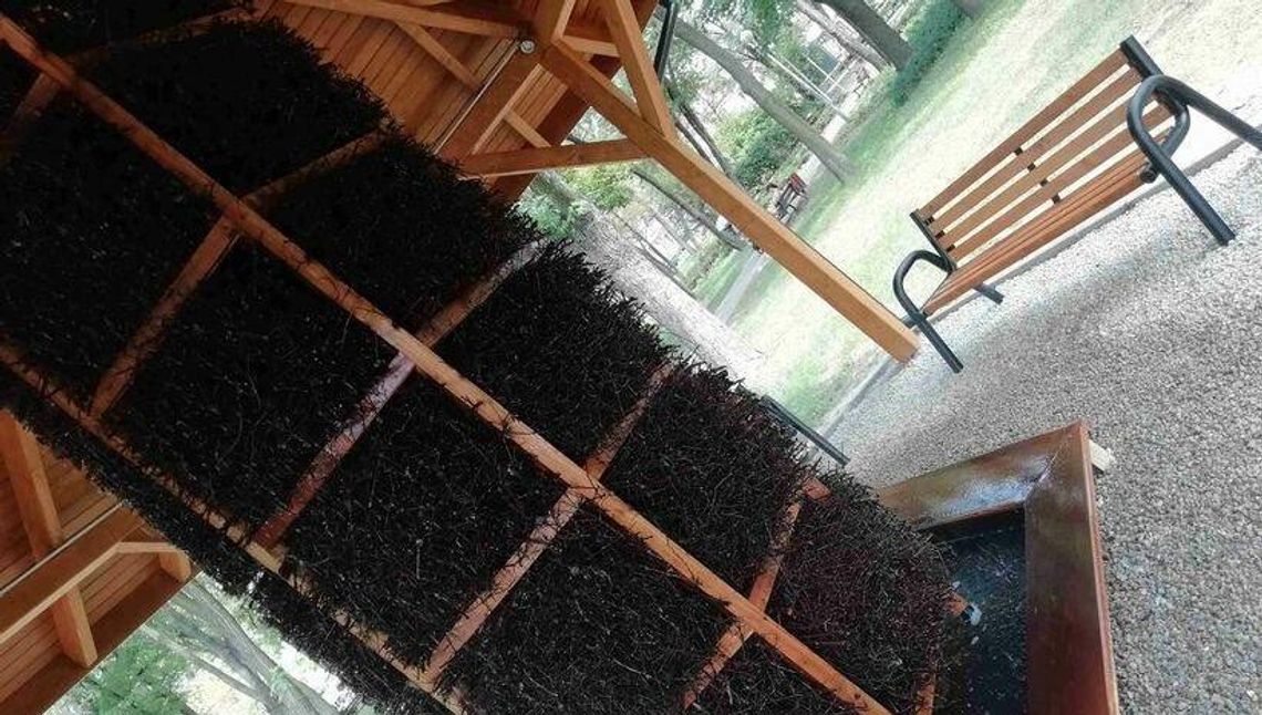 Łuków: 11 pomysłów na miasto. Lista projektów