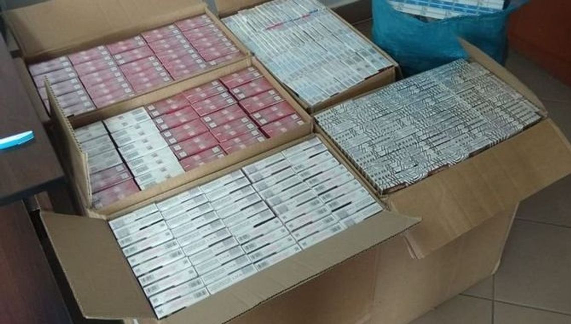 Łuków: Zabezpieczono niemal 80 tys. sztuk nielegalnych papierosów