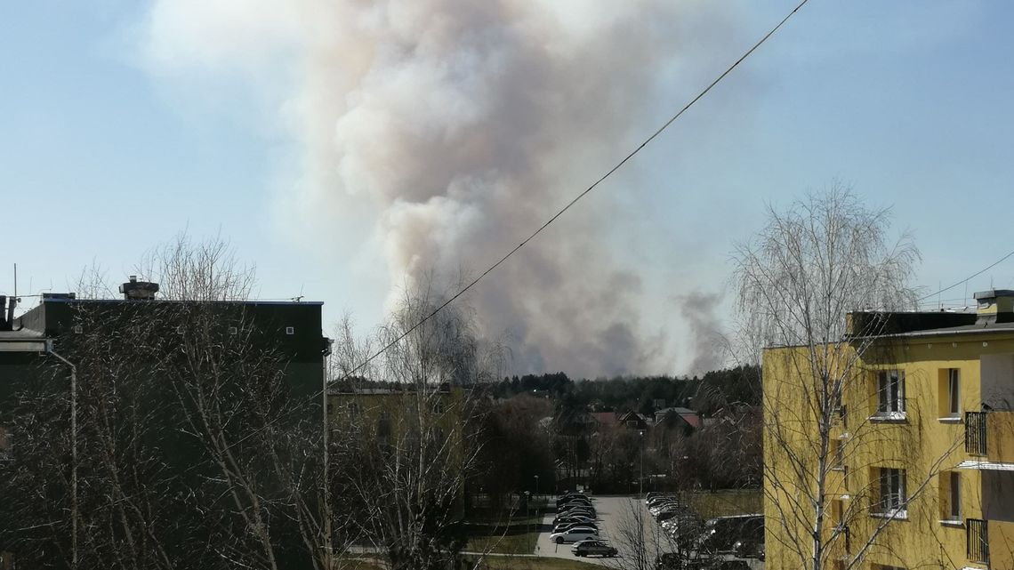 Łuna nad Chełmem. Ktoś podpalił jeden z najcenniejszych rezerwatów Łuna nad Chełmem. Ktoś podpalił jeden z najcenniejszych rezerwatów