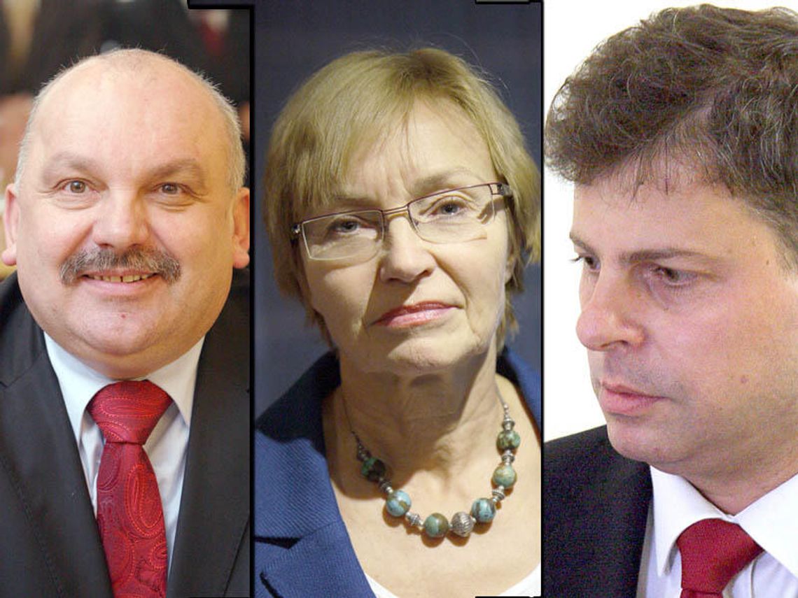 Majątki europosłów:  Domy, pieniądze, zero długów