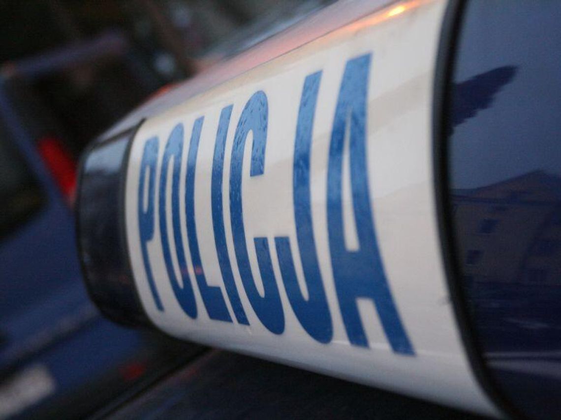 Majdan Starowiejski: 1200 paczek papierosów z przemytu Majdan Starowiejski: 1200 paczek papierosów z przemytu