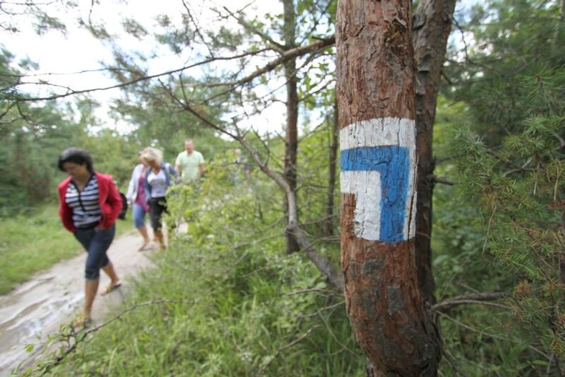 Majówka na Pojezierzu Łęczyńsko-Włodawskim