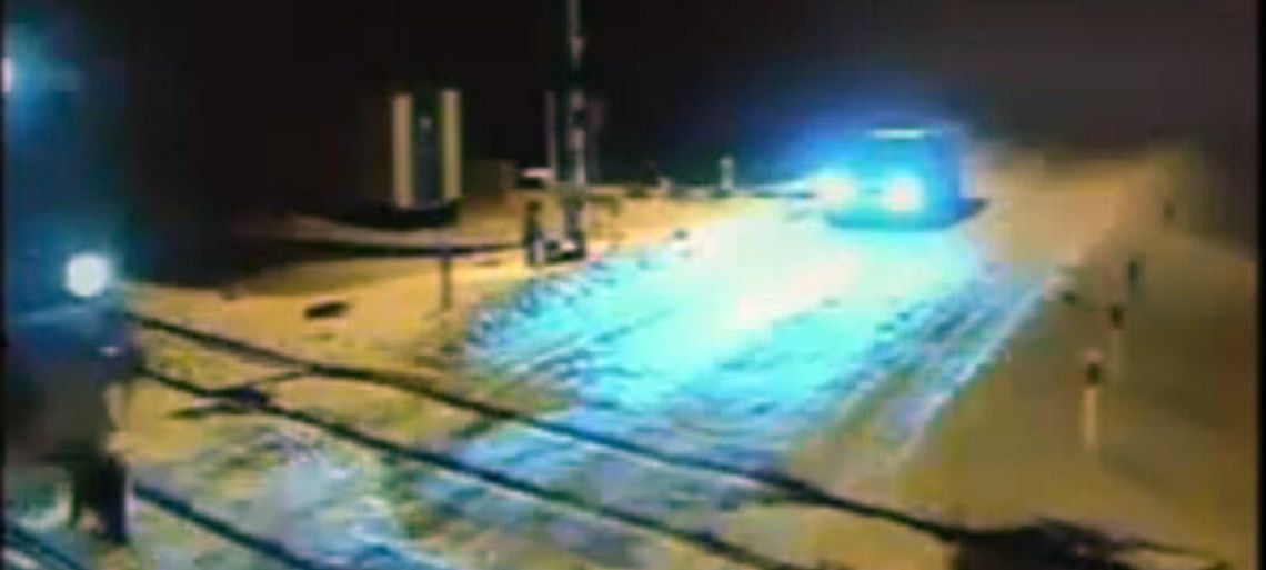 Makabra w Czosnówce. 22-latek zostawił psa na torach, sam odskoczył (wideo)