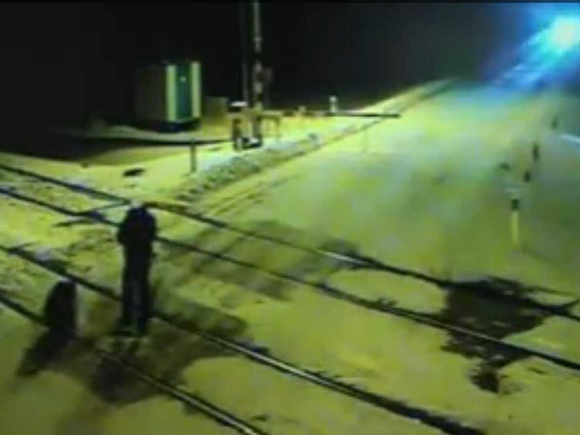 Makabra w Czosnówce: Petycja i śledztwo 