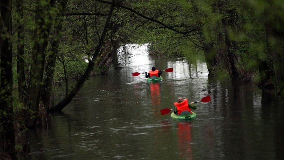 Makabryczne odkrycie w Bystrzycy. Kajakarze powiadomili służby Makabryczne odkrycie w Bystrzycy. Kajakarze powiadomili służby