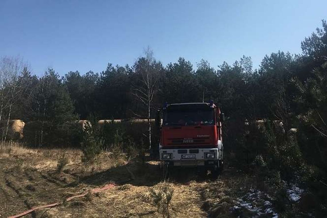 Małaszewicze: Wykoleił się pociąg z cysternami z paliwem Małaszewicze: Wykoleił się pociąg z cysternami z paliwem