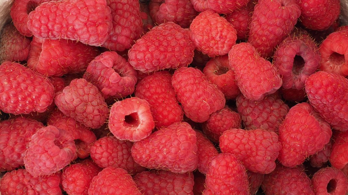 Maliny z plastikiem nie wjechały do Polski. Trwają kontrole produktów importowanych z Ukrainy