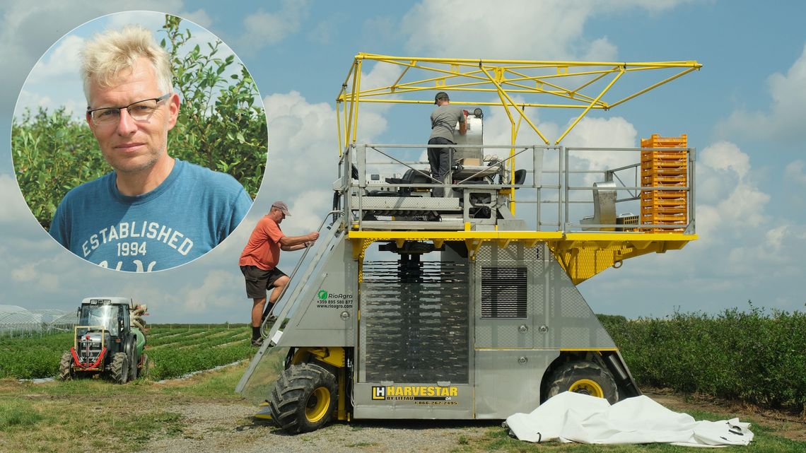 Mało chętnych do zbierania owoców. Zastąpi ich ta supermaszyna