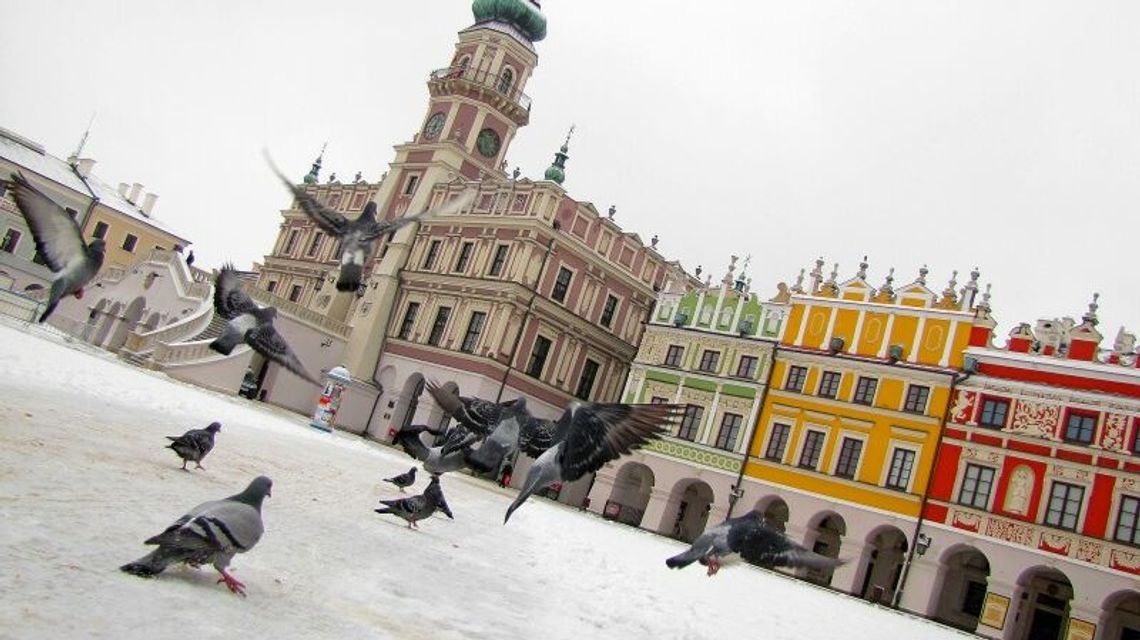 Małpiarnia już czeka. Biblioteka także. W Zamościu ferie nie będą nudne
