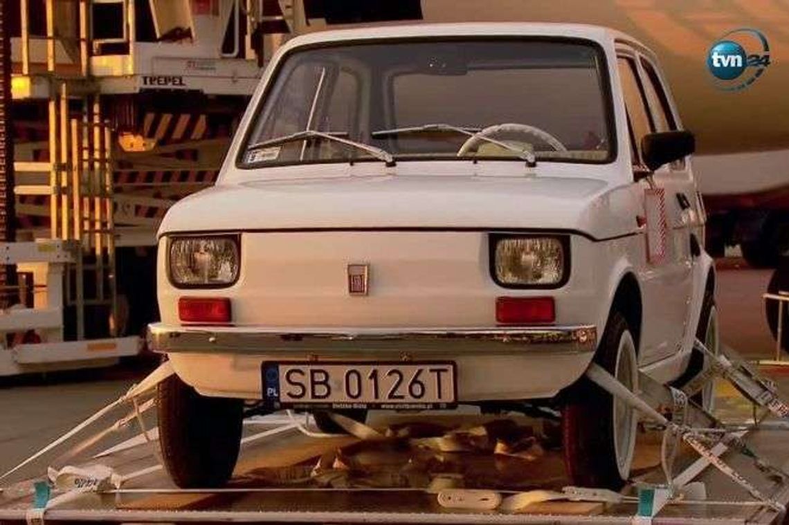 Maluch dla Toma Hanksa odleciał do Ameryki. Wkrótce trafi w ręce aktora Maluch dla Toma Hanksa odleciał do Ameryki. Wkrótce trafi w ręce aktora