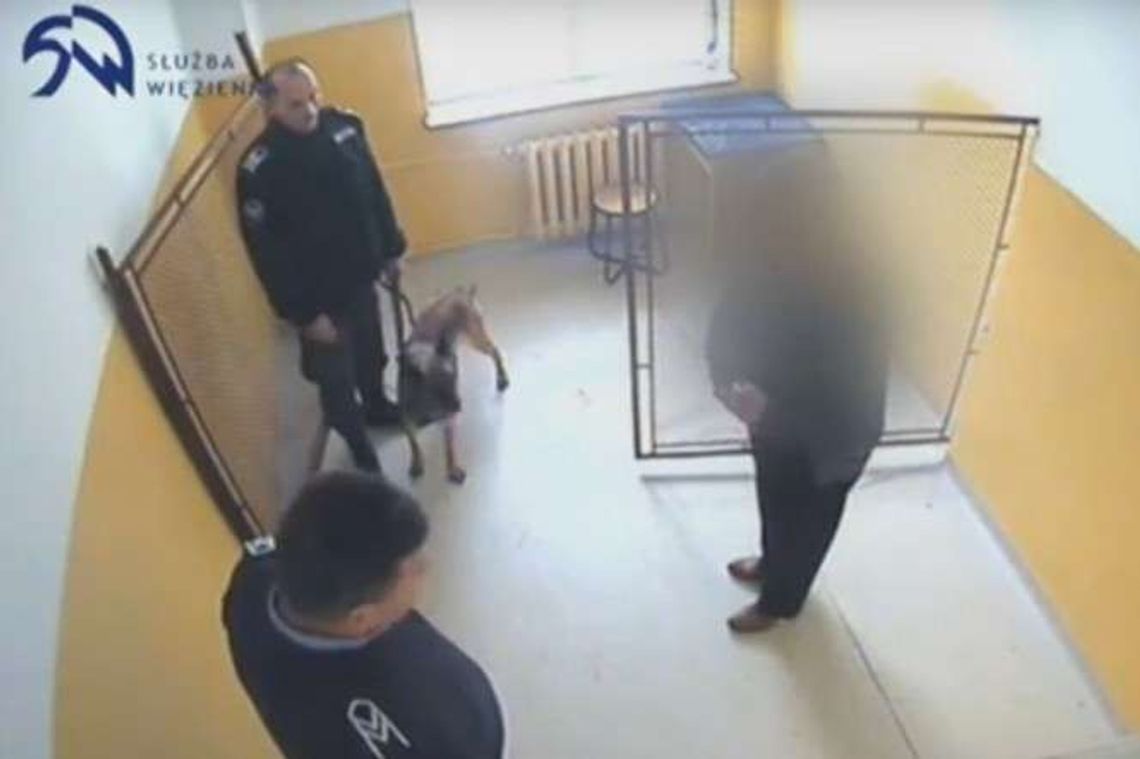 Mama przyniosła narkotyki do aresztu. Schowała je w biustonoszu