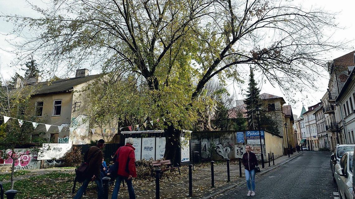 Mamy Zielony Budżet, ale brakuje nam drzew