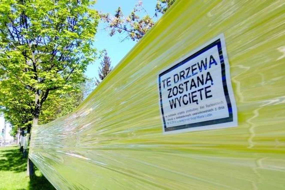 Mandaty za akcję w obronie drzew przy Al. Racławickich. Ale to nie koniec protestów