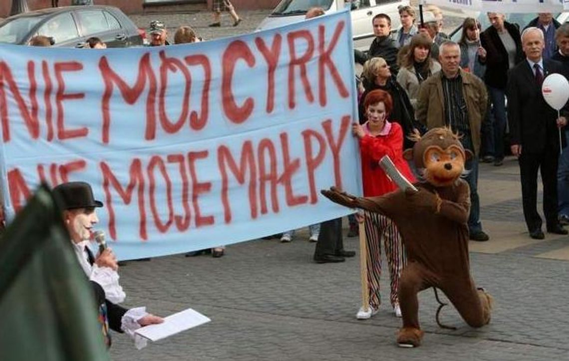 Manifestacja Solidarności w Lublinie: \"Nie mój cyrk, nie moje małpy\": Manifestacja Solidarności w Lublinie: \"Nie mój cyrk, nie moje małpy\":