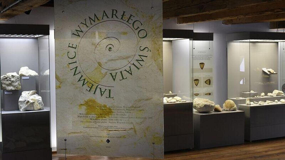 Mapping wąwozu i ząb mozazaura. Nowości w Muzeum Nadwiślańskim w Kazimierzu Dolnym