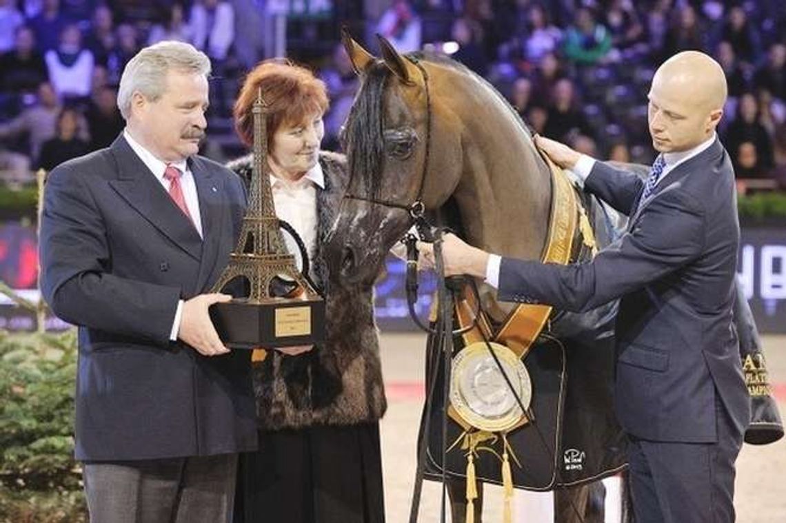 Marek Trela doradza szejkowi w Abu Dhabi