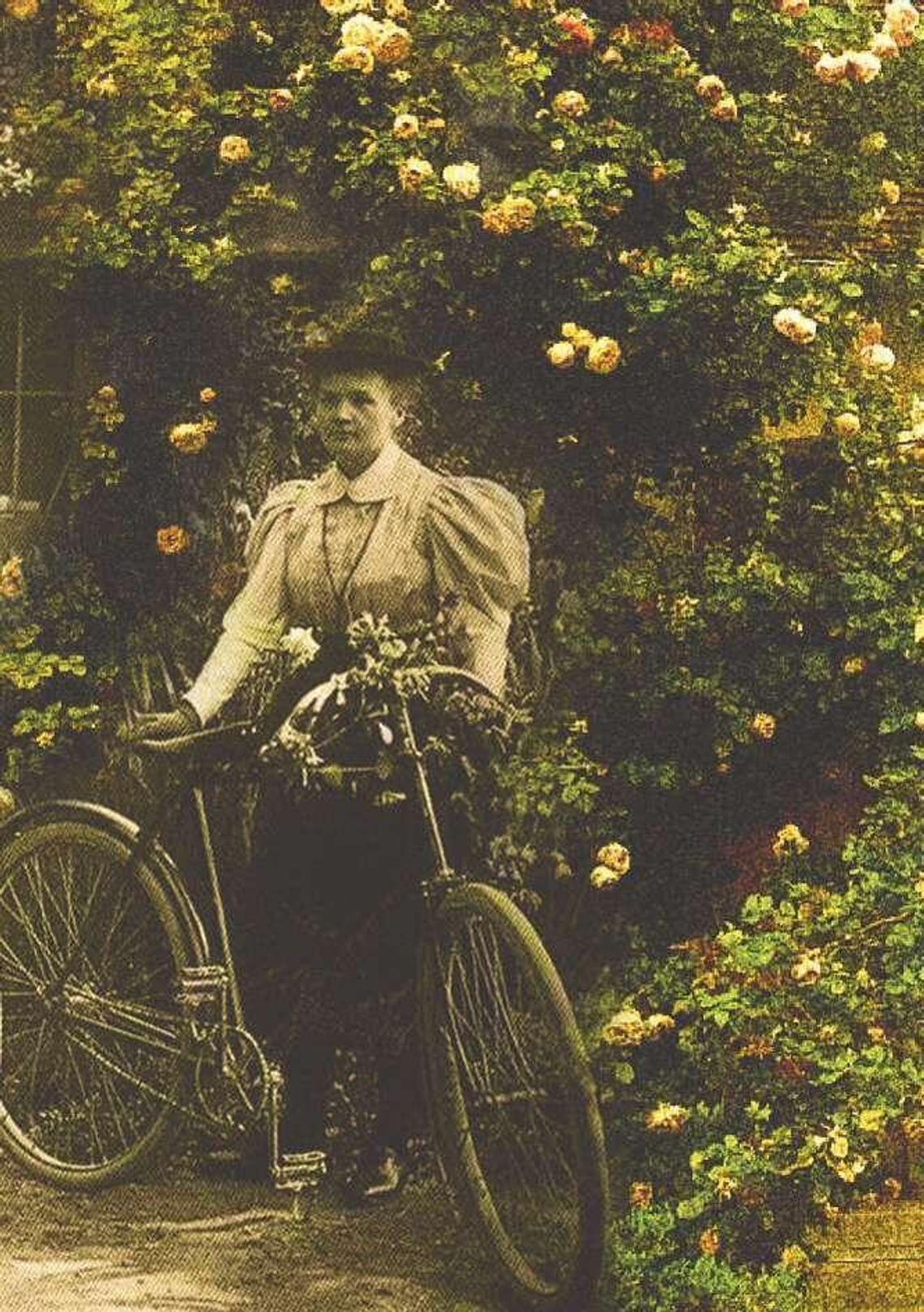 "Maria Skłodowska-Curie i kwiaty". Wystawa w Ogrodzie Botanicznym