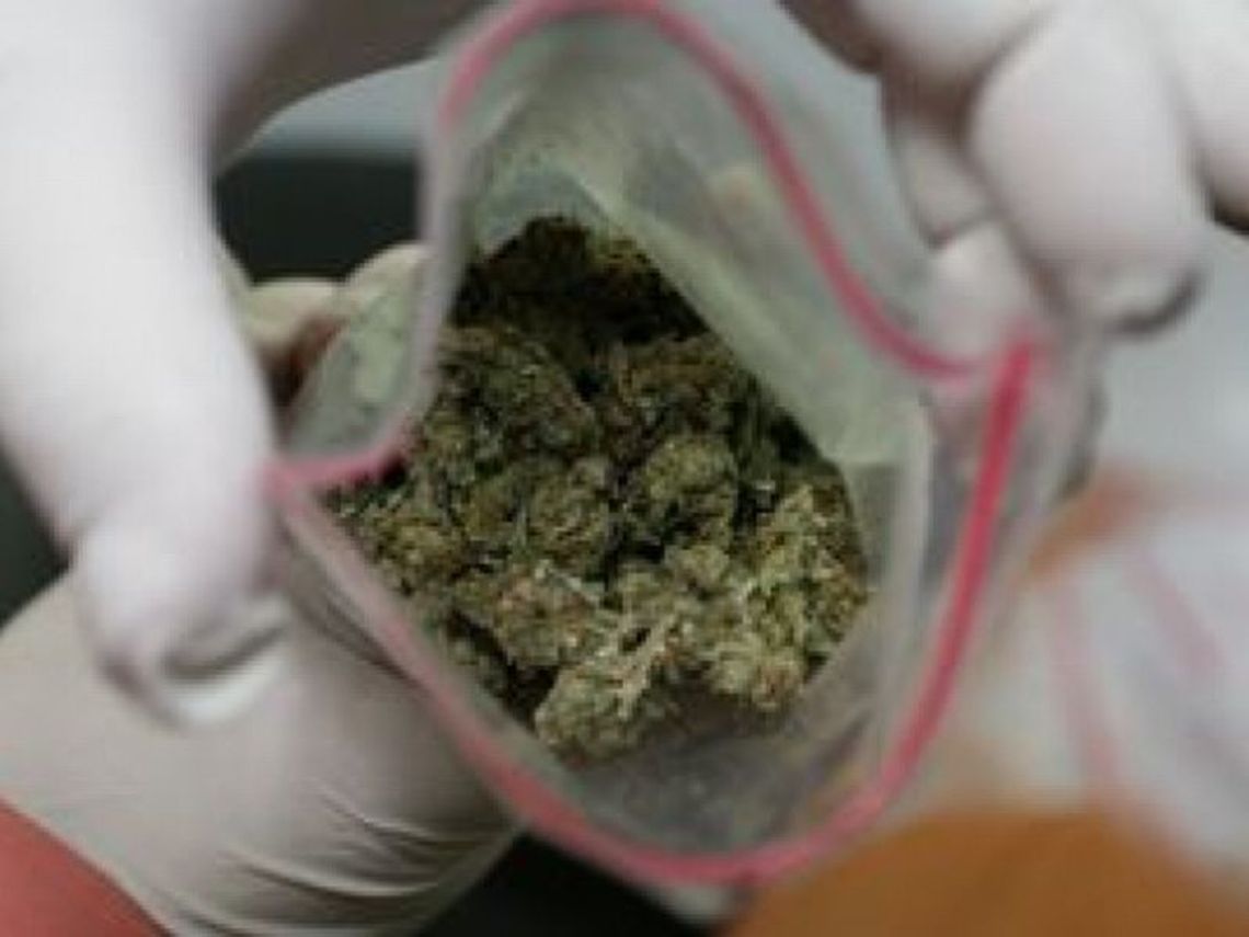 Marihuana w piekarniku, amfetamina w szafce Marihuana w piekarniku, amfetamina w szafce